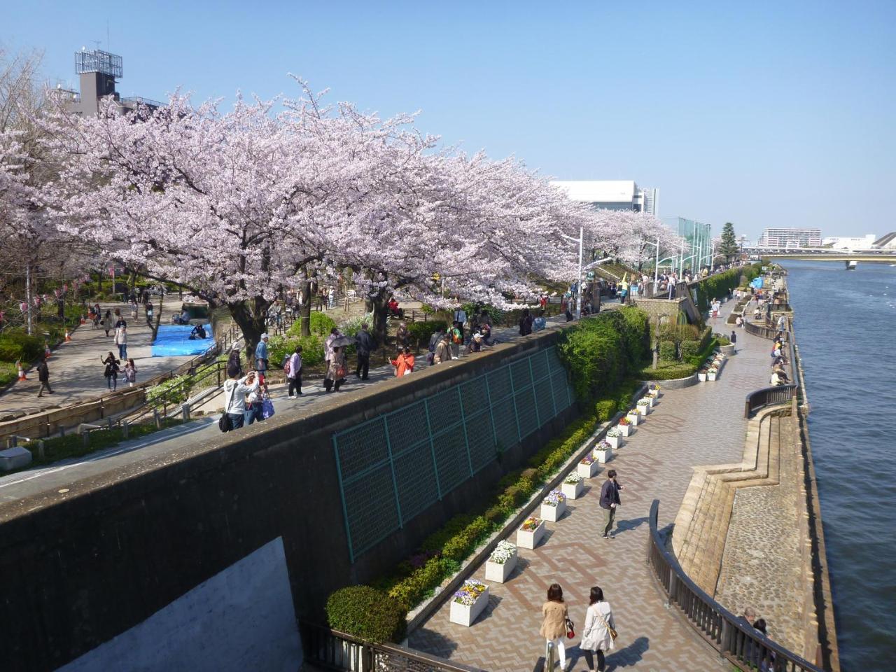 Hotel New Tochigiya Tokyo Exterior photo